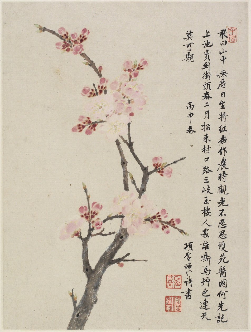 Album of Ten Leaves, 1656 (blæk og farve på papir) af Shengmo Xiang