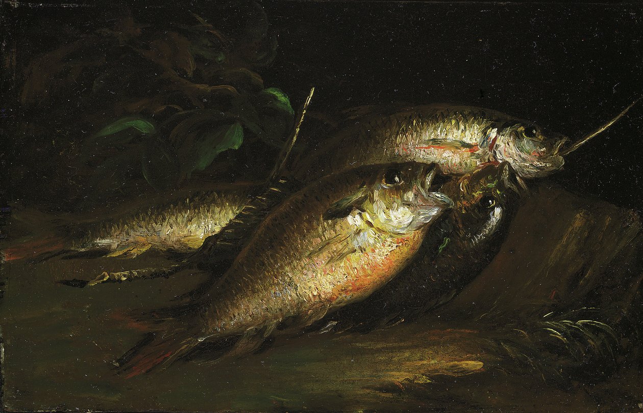 Fisk af Shepard Alonzo Mount