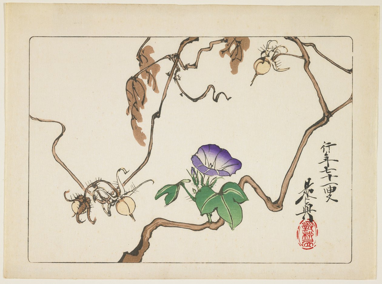 Vine and Seeds of Morning Glory, 1877 af Shibata Zeshin