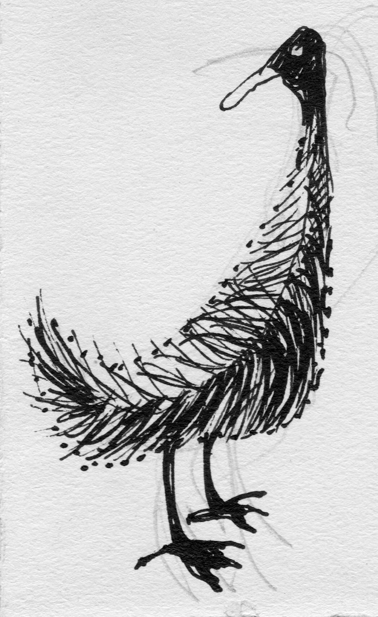 Fugl, c1950. af Shirley Markham