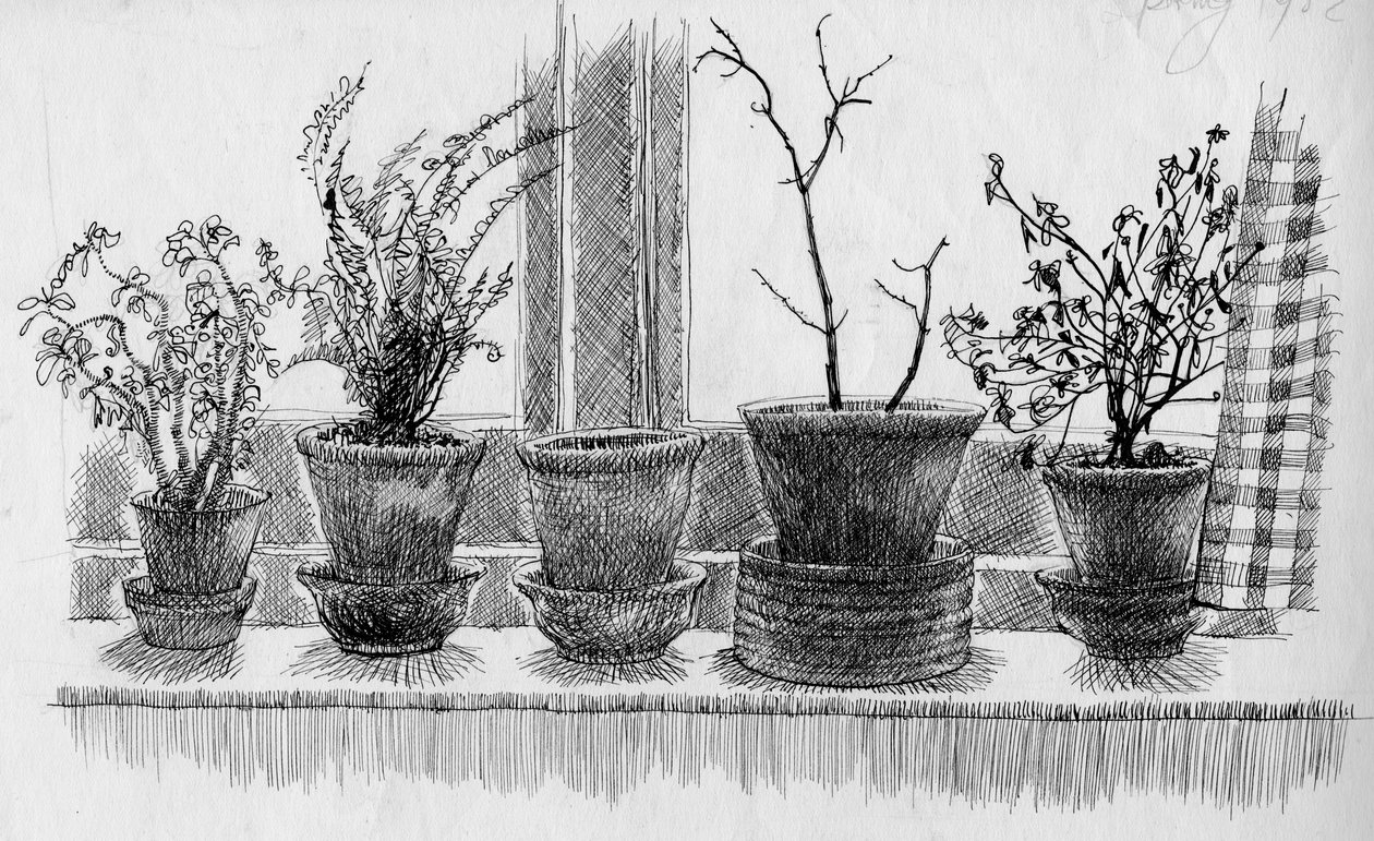 Døde planter i en vindueskarm, 1952. af Shirley Markham