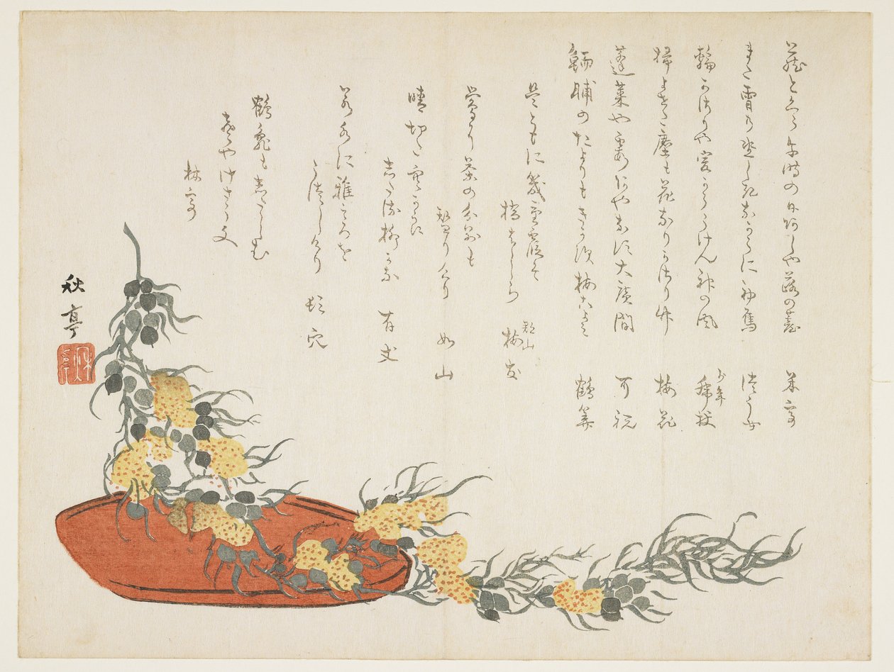 (Vine streamer), ca. 1854-1859 af Shûtei Tanaka