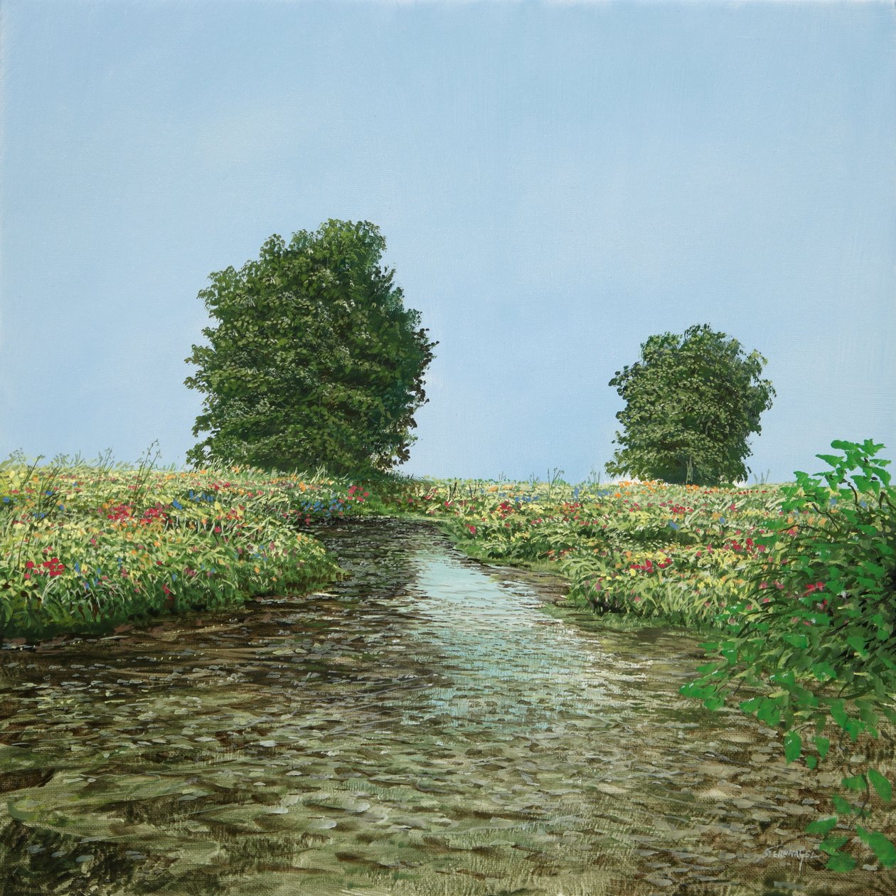 BBB-Tree-Bach-Image