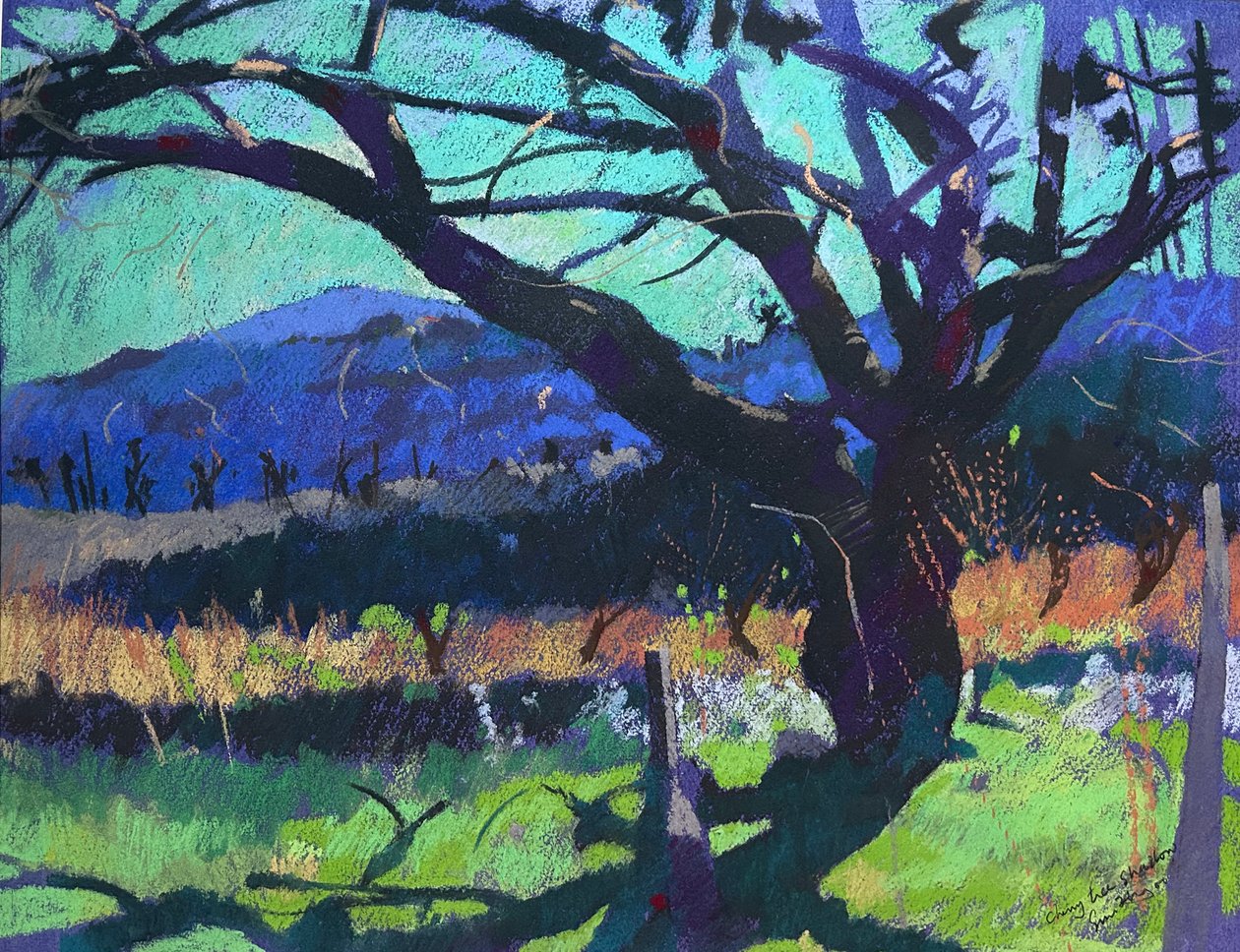 Kirsebærtræets skygge, 2000 (pastel) af Simon Fletcher