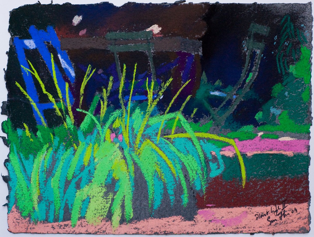 Plant Life (pastel på papir) af Simon Fletcher