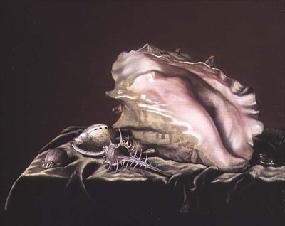 Stilleben af Shells af Simon Renard de Saint Andre