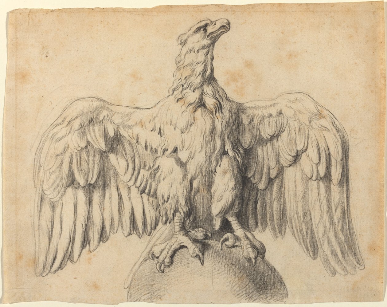 Den kapitolinske ørn af Sir Peter Paul Rubens