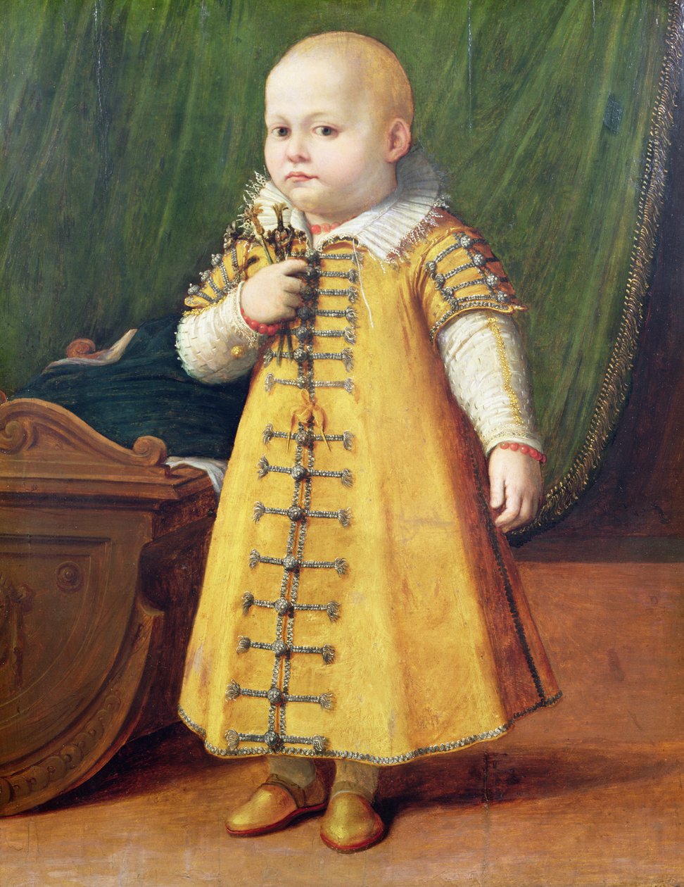 Portræt af et barn (panel) af Sofonisba Anguissola