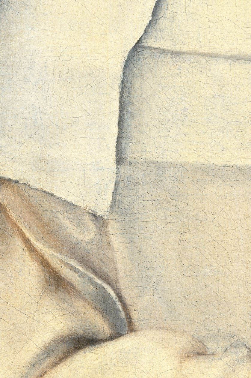 Portræt af kunstnerens søster af Sofonisba Anguissola