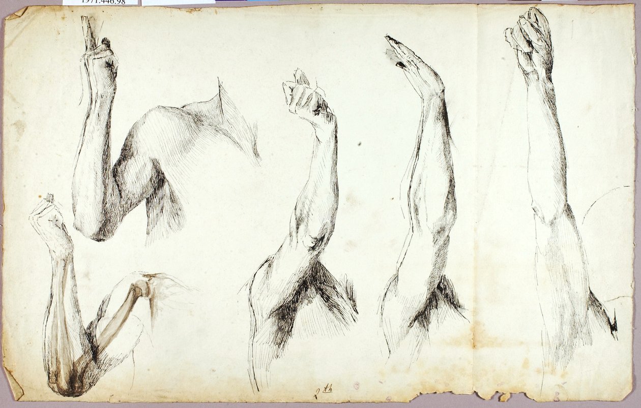 Studier af arme, #2 af Solon H. Borglum