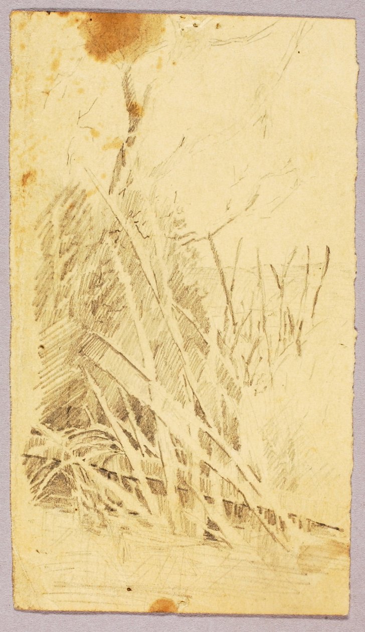 Løvværk af Solon H. Borglum