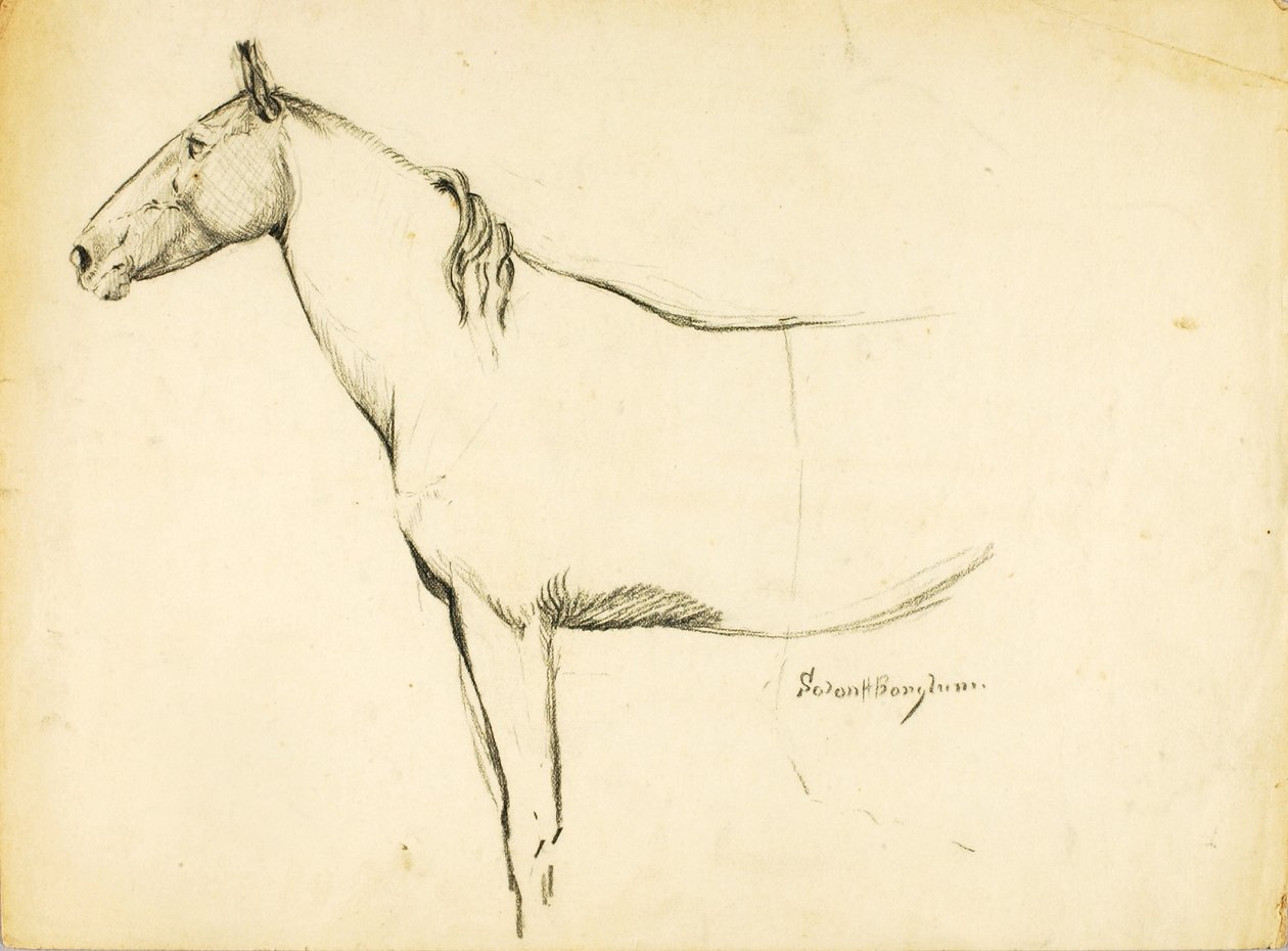Hest af Solon H. Borglum
