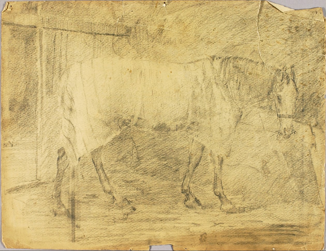 Hest af Solon H. Borglum