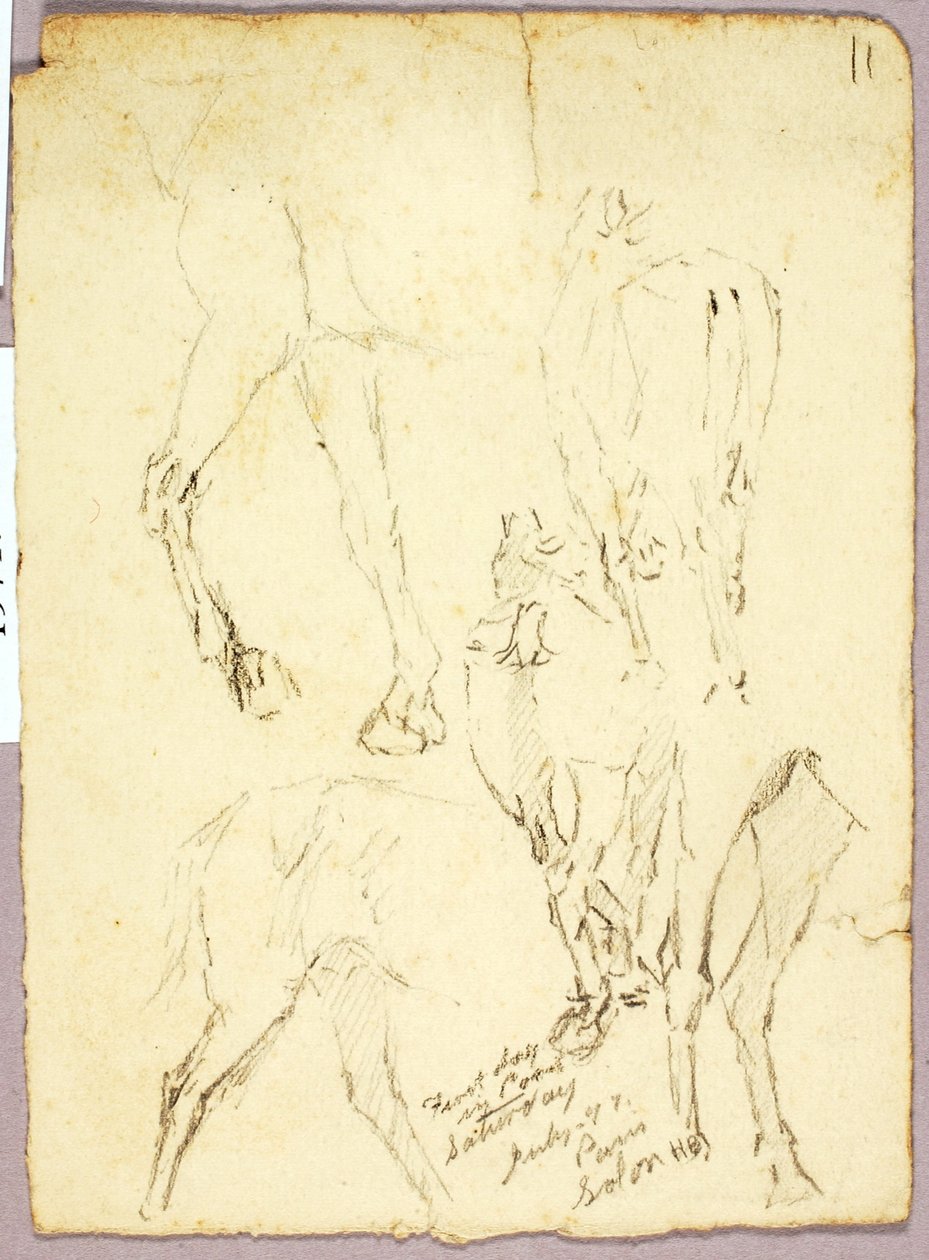 Heste af Solon H. Borglum