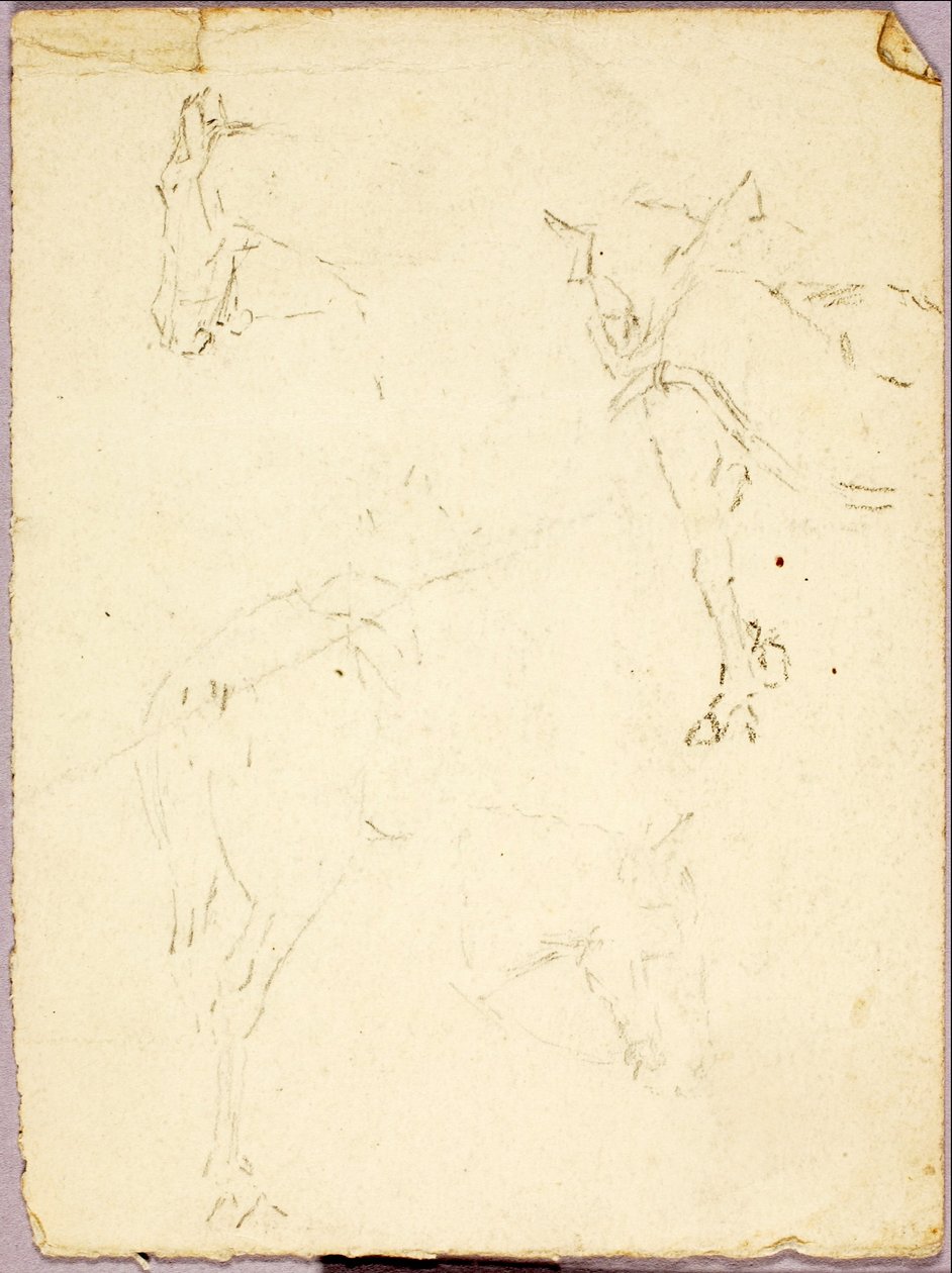 Heste af Solon H. Borglum
