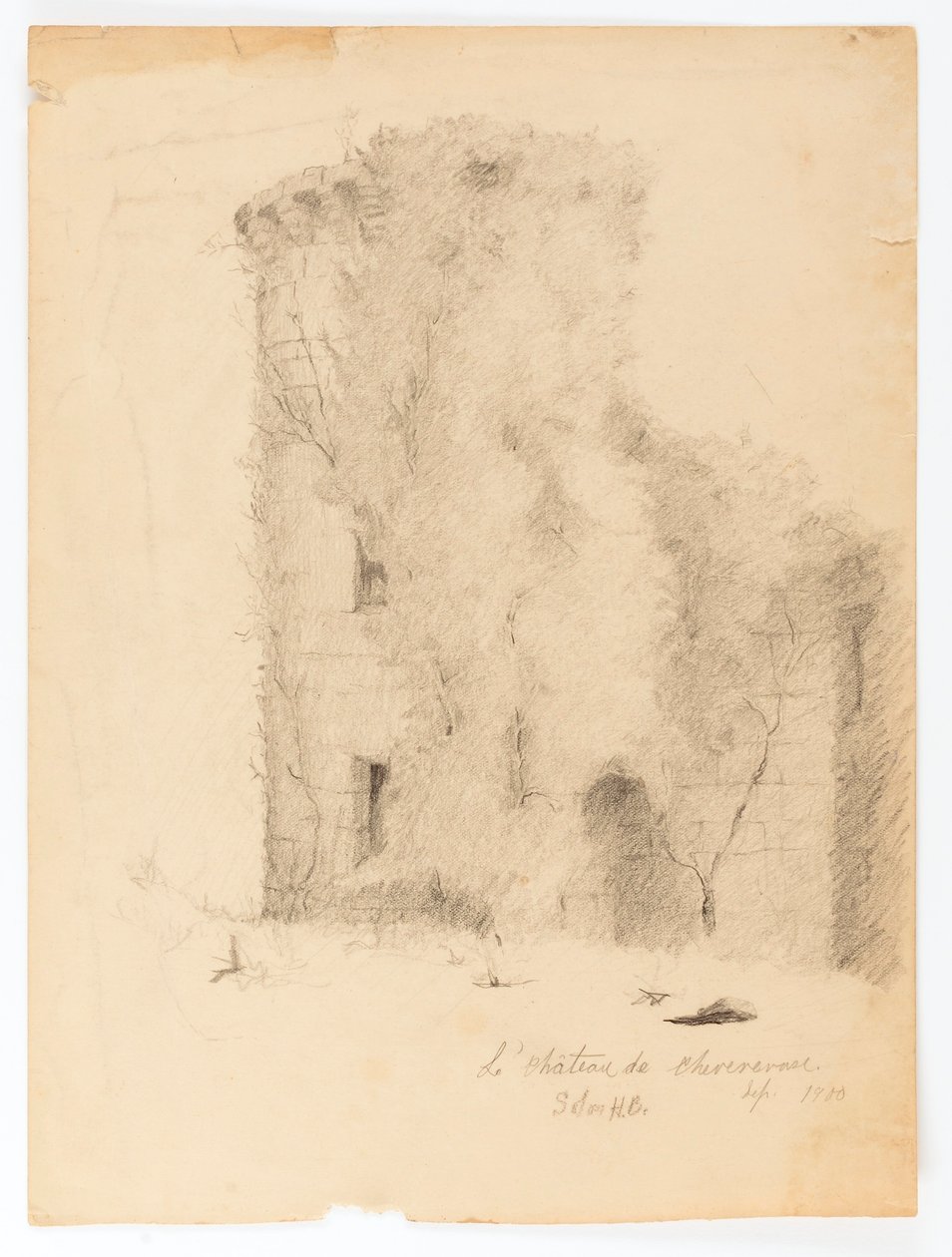 Le Chateau de Chevenevase af Solon H. Borglum