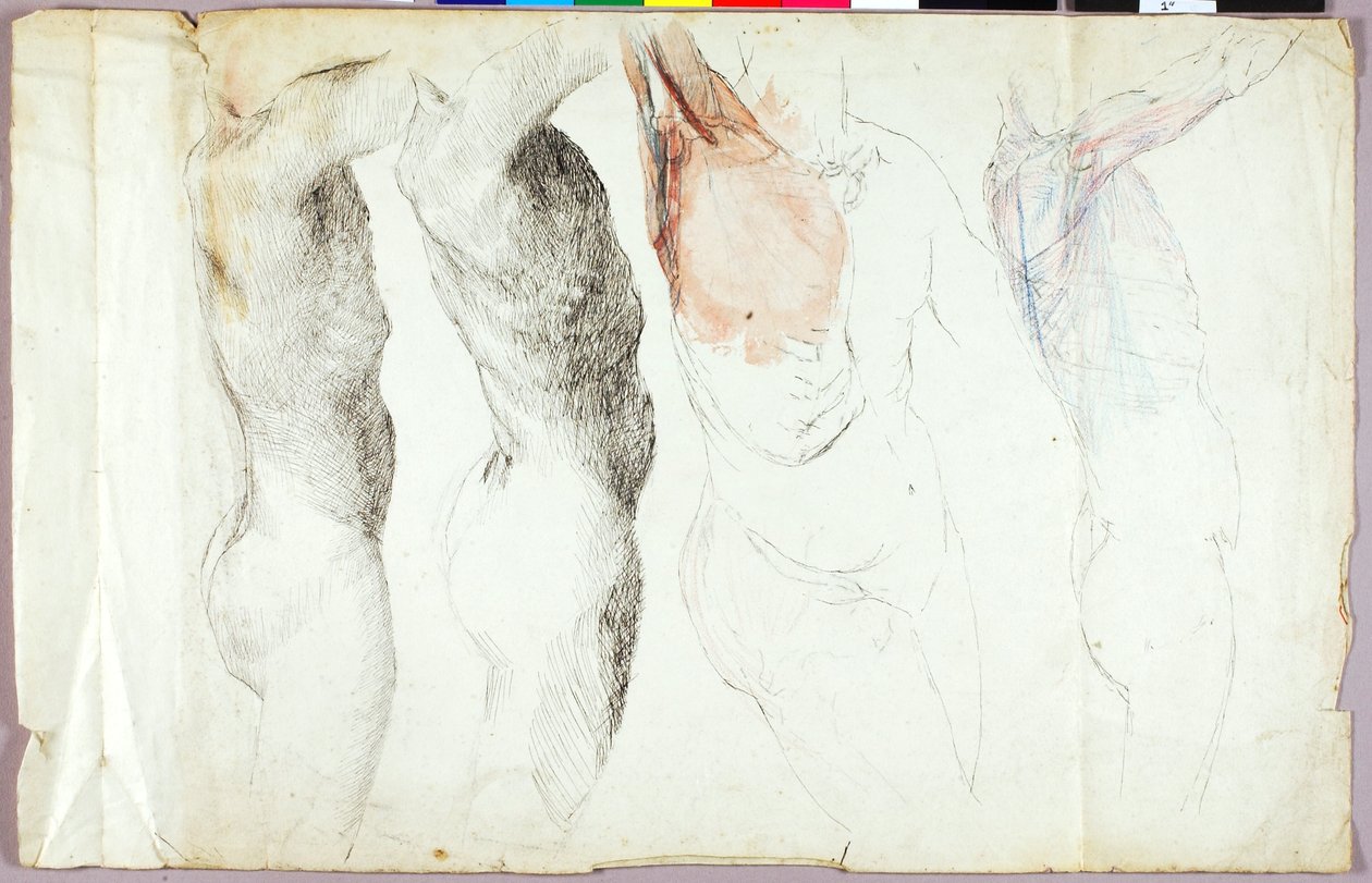 Nøgenstudier af Solon H. Borglum