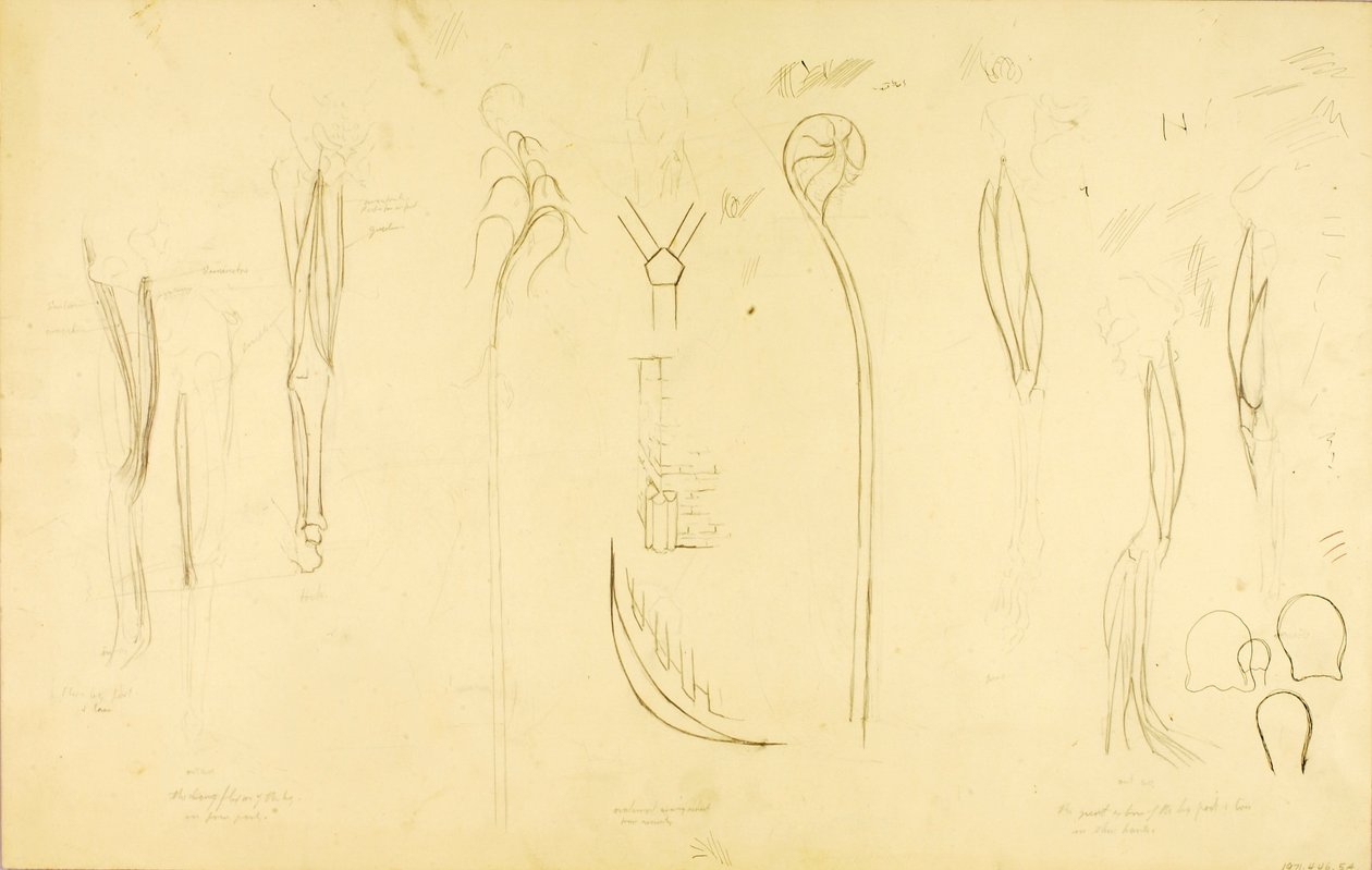 "Sound Construction"-studie af Solon H. Borglum