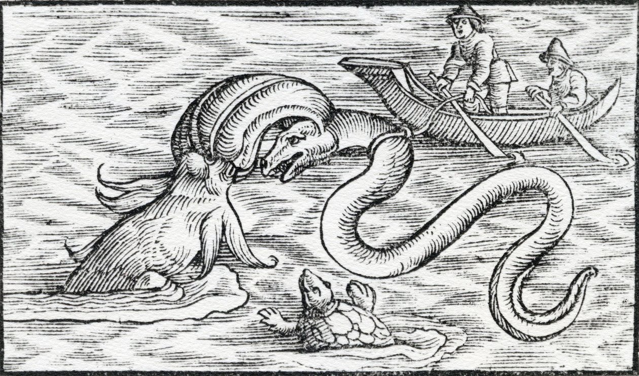 Sømonstre, 1511 af Spanish School