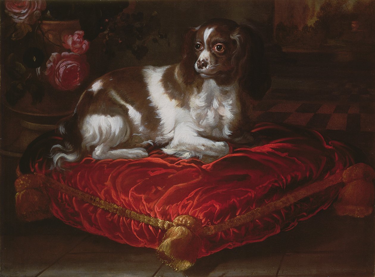 Spaniel på en pude af Spanish School