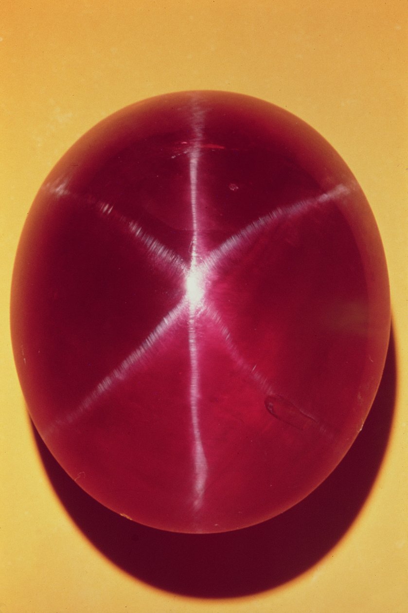 The Rosser Reeves Star Ruby (ruby) af Sri Lankan School