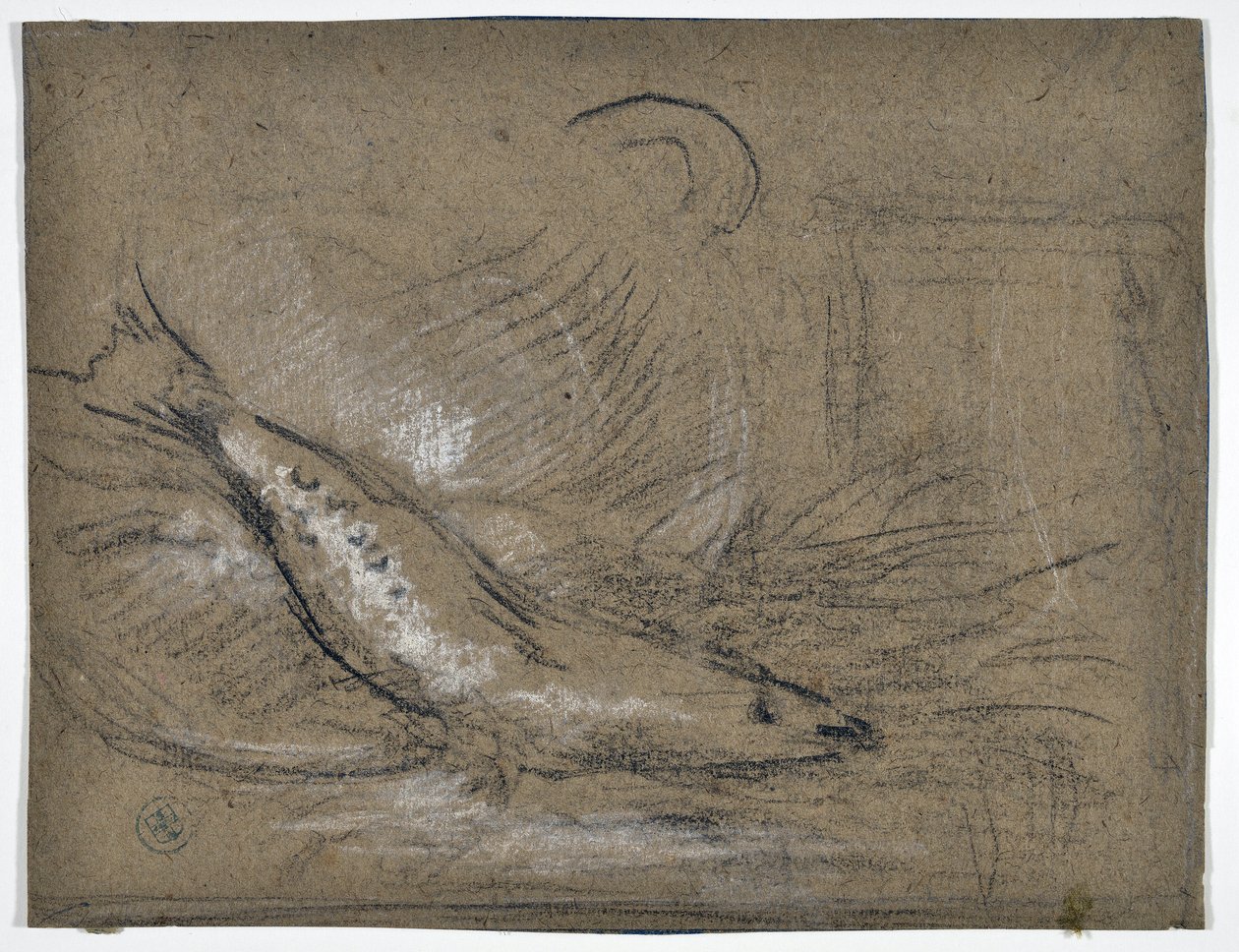 Fiskestudie (tegning) af Stanislas Torrents y de Amat