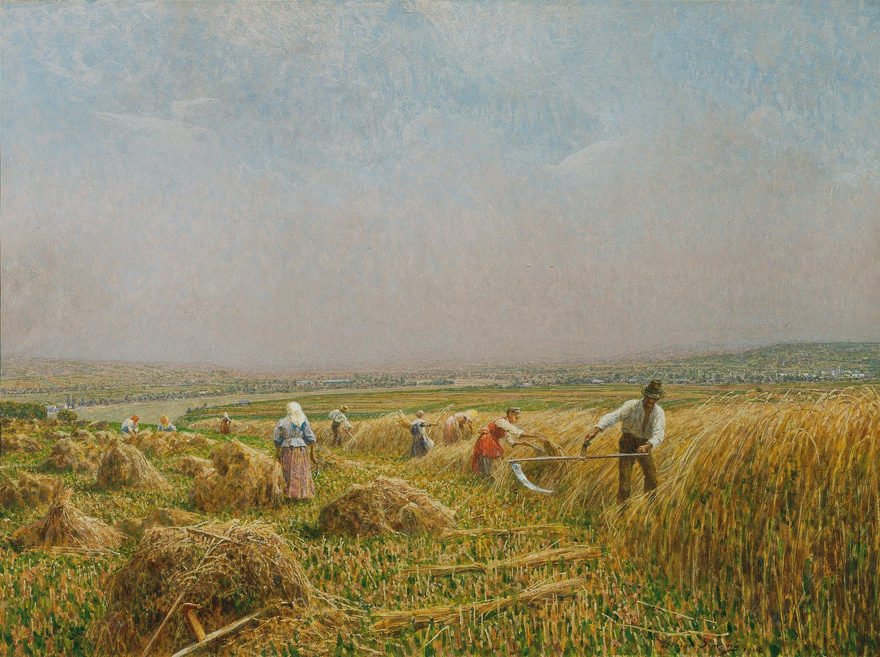 mejer af Stefan Simony