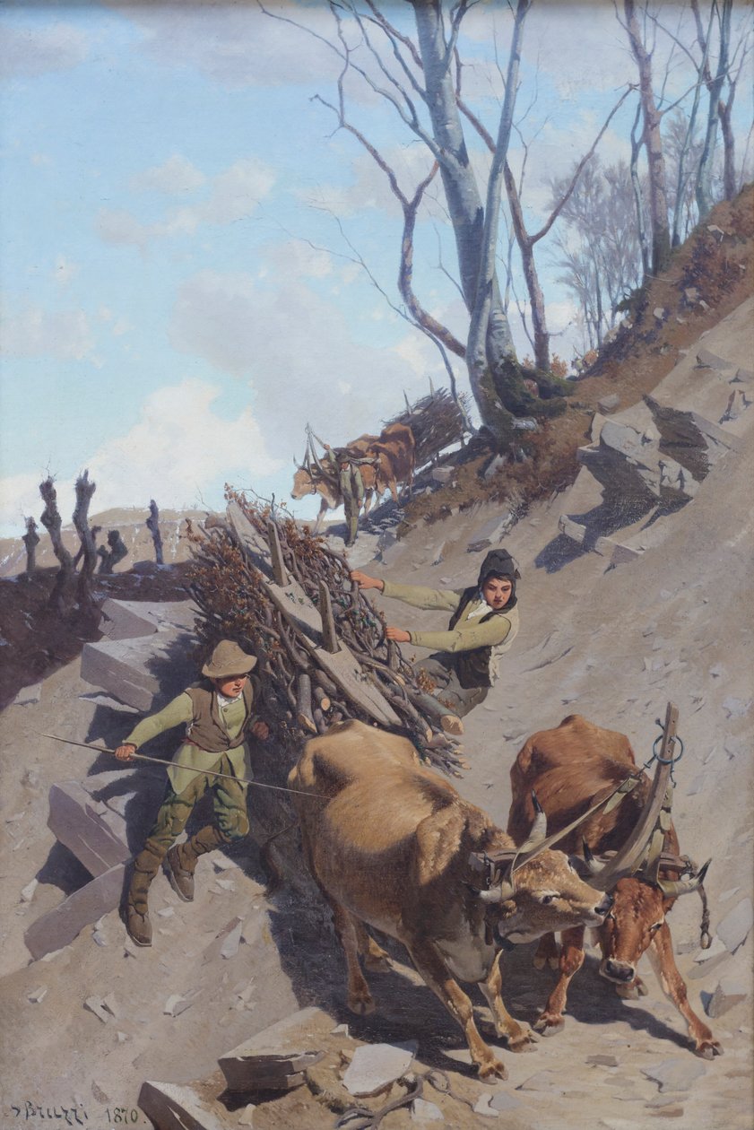 Vanskeligt skridt af Stefano Bruzzi