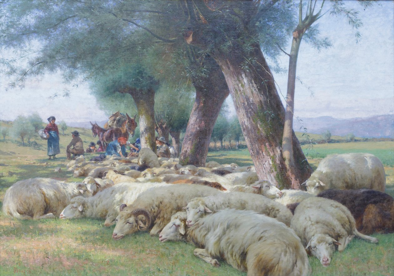 Får i hvile, ca. 1900 (olie på lærred) af Stefano Bruzzi