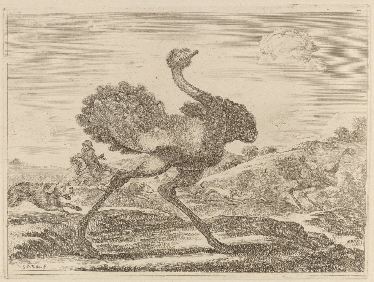 Strudsejagt. af Stefano della Bella