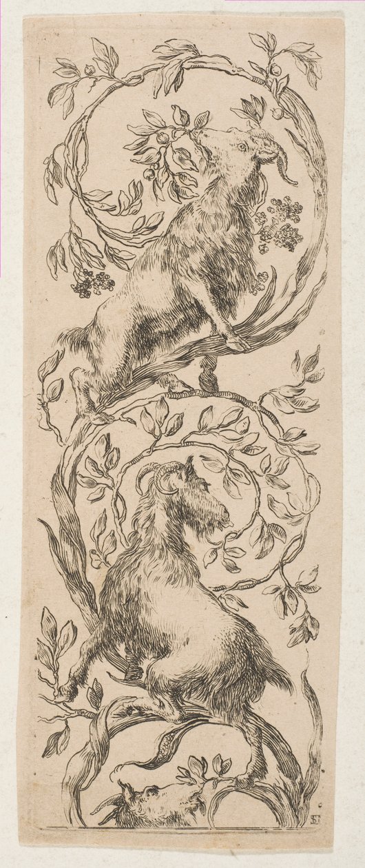 To geder nappe grene, ca. 1653. af Stefano della Bella