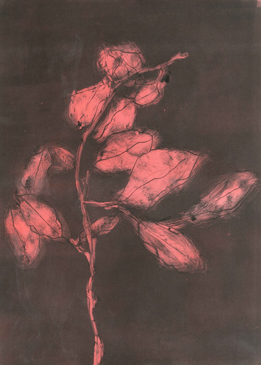 Foliage I, 2015 (monoprint på papir) af Stephen Dow