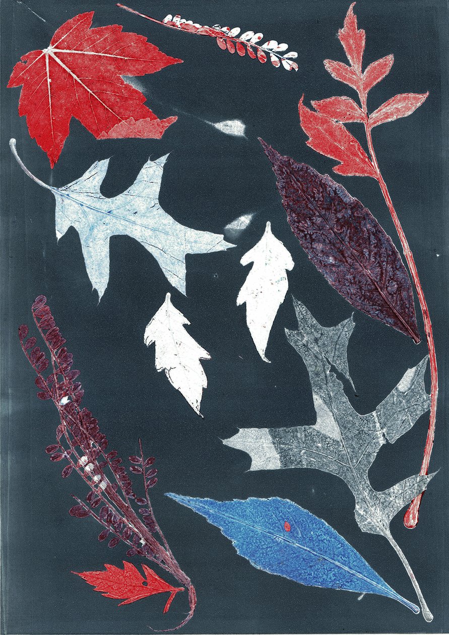 Jol X, 2017 (monoprint på papir) af Stephen Dow