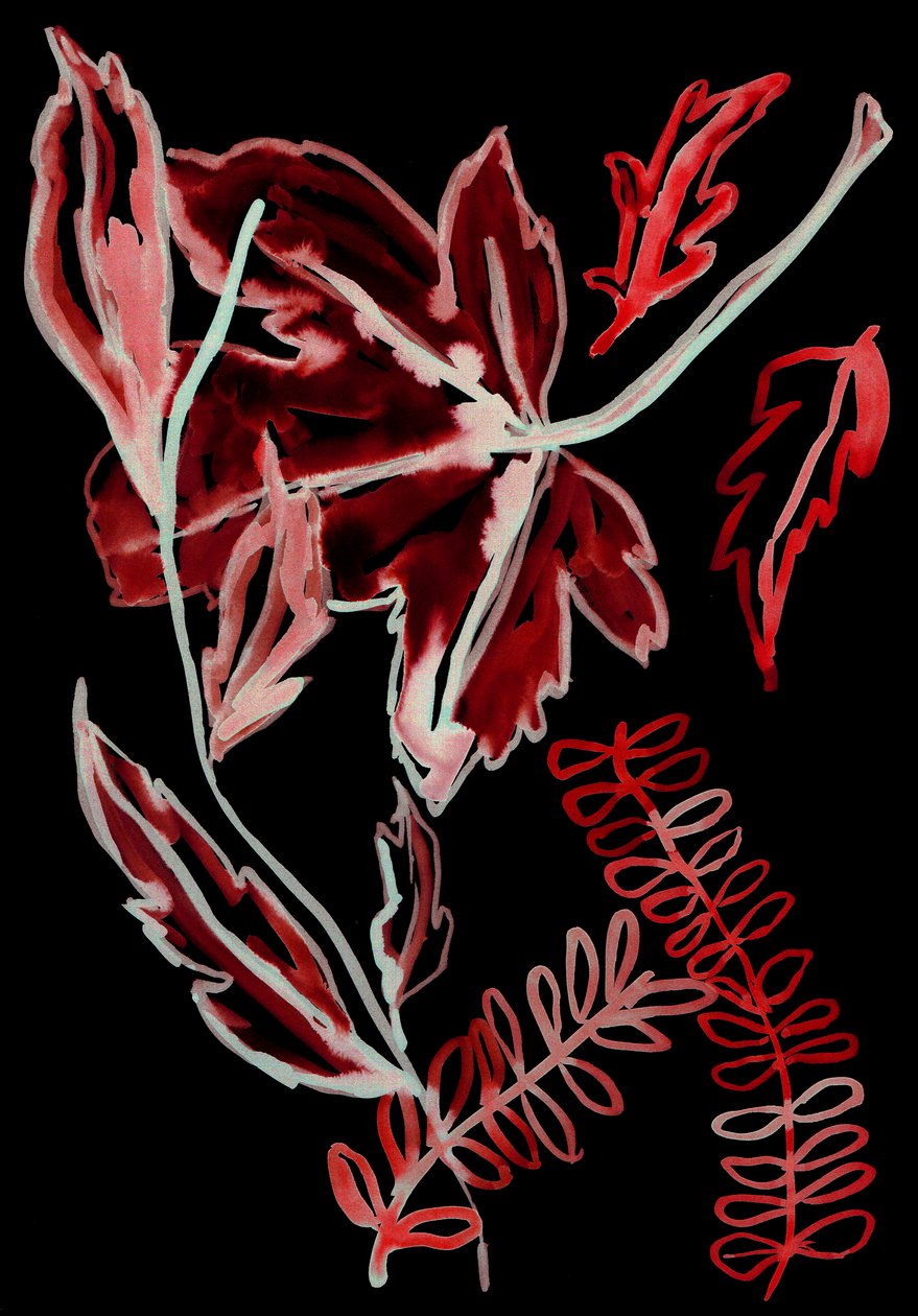 Night Flora I, 2018 (digital) af Stephen Dow