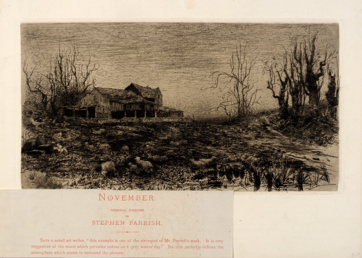 November af Stephen Parrish
