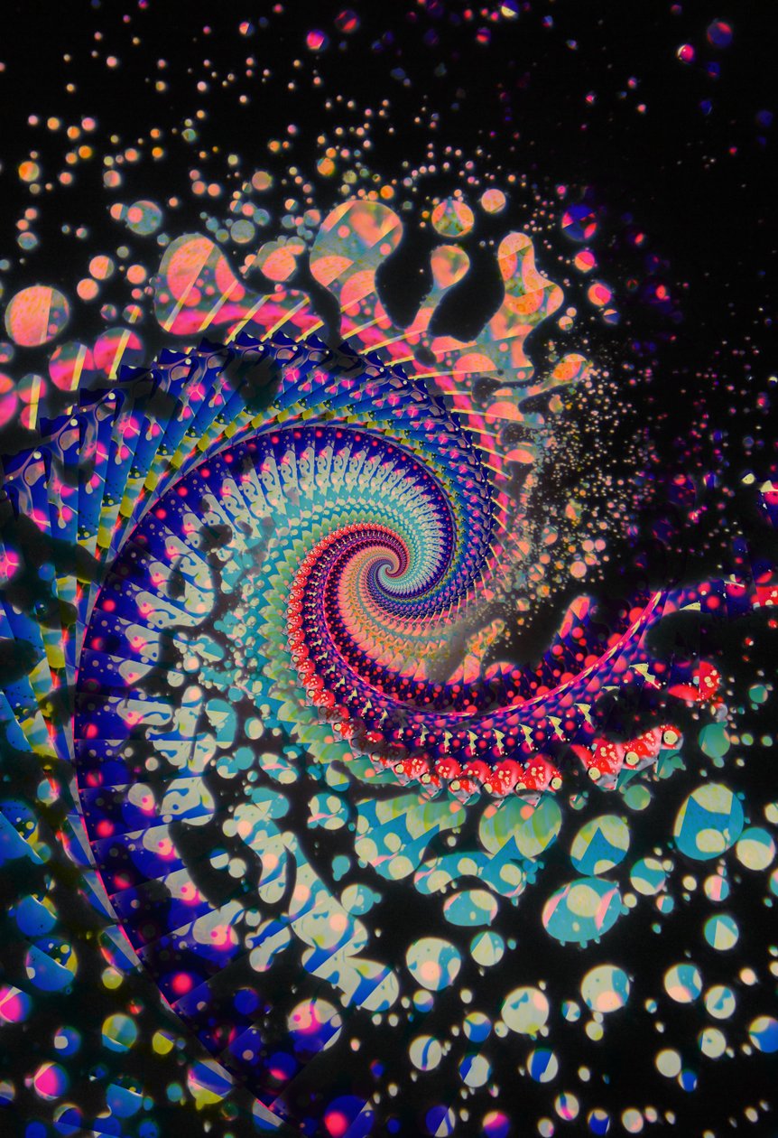 Spiral Dead, 2024 af Steve Pavlovsky