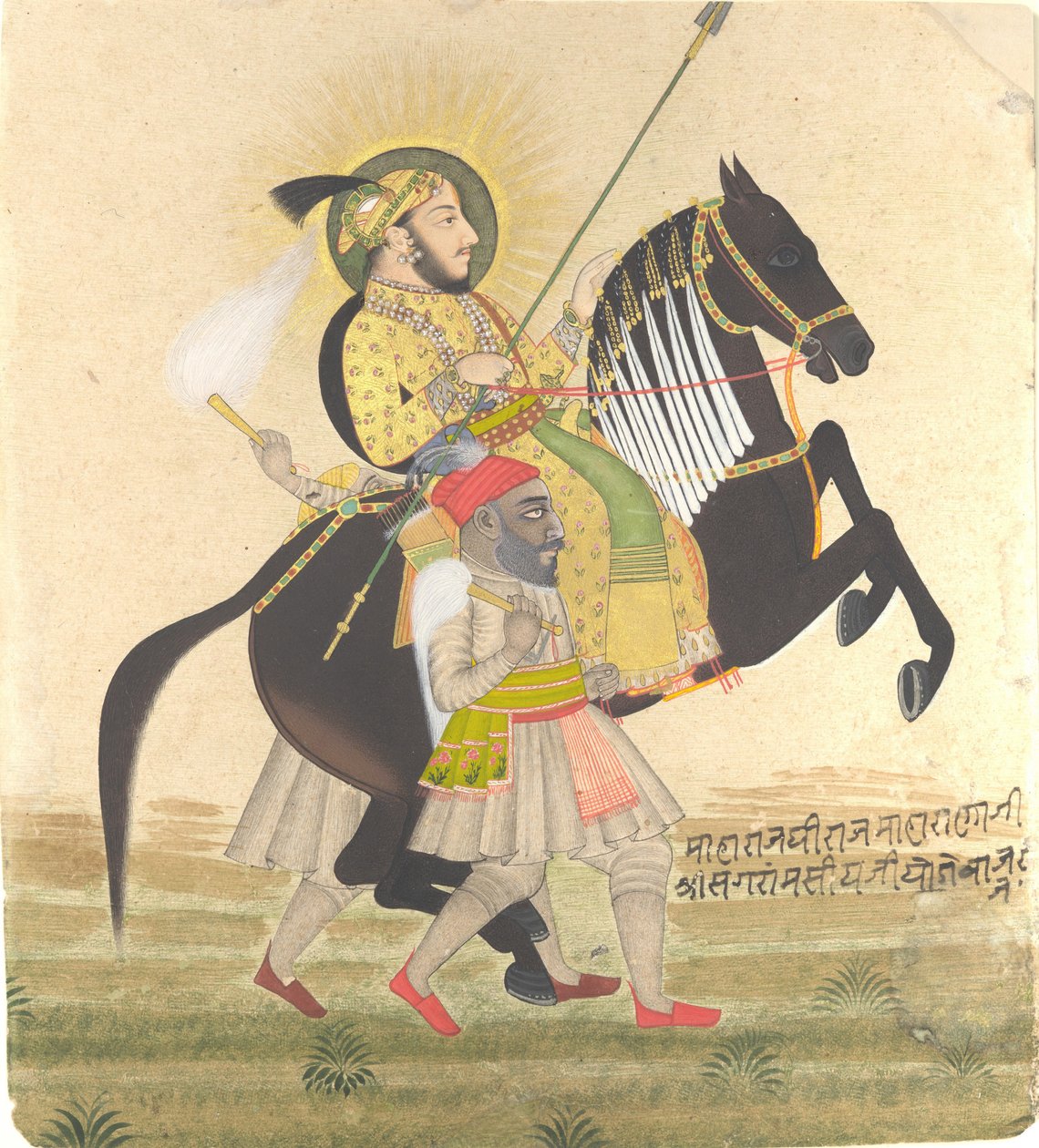 Maharana Sangram Singh Rider en præmiehingst af Stipple Master