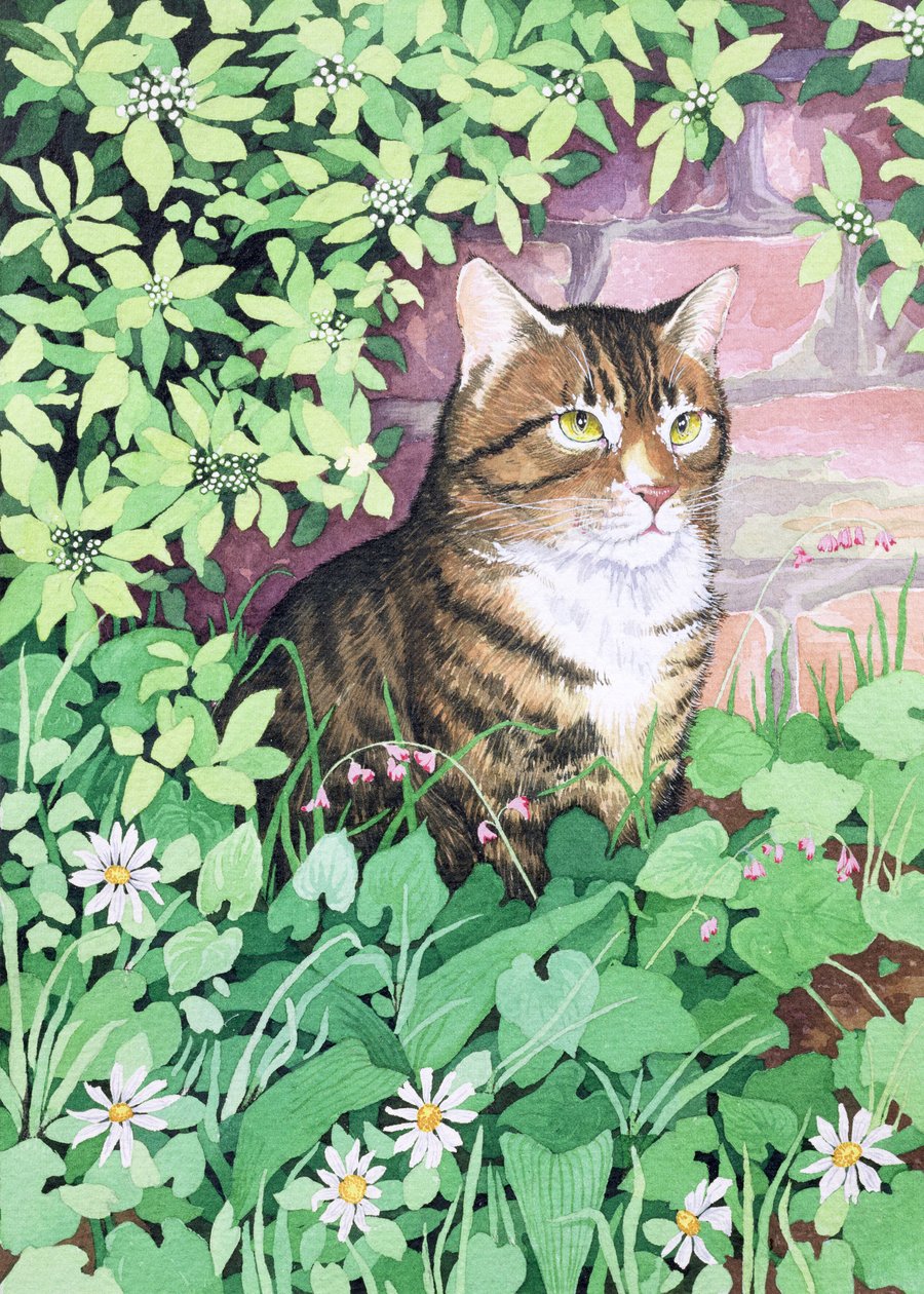 Jackies Cat (havedesign) af Suzanne Bailey