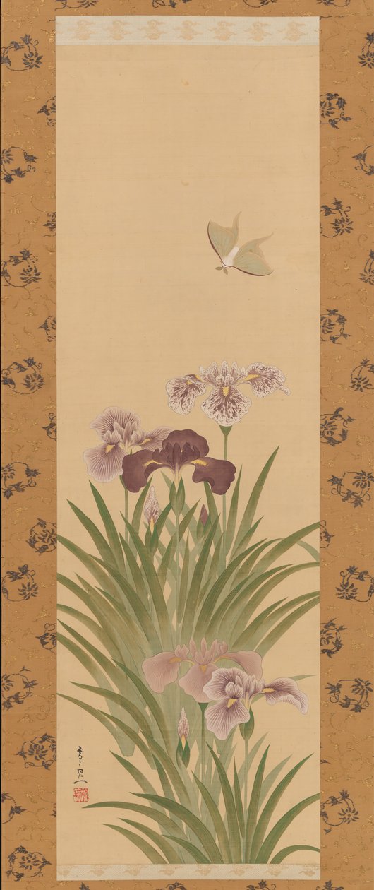 Iris og møl, ca. 1850. af Suzuki Kiitsu