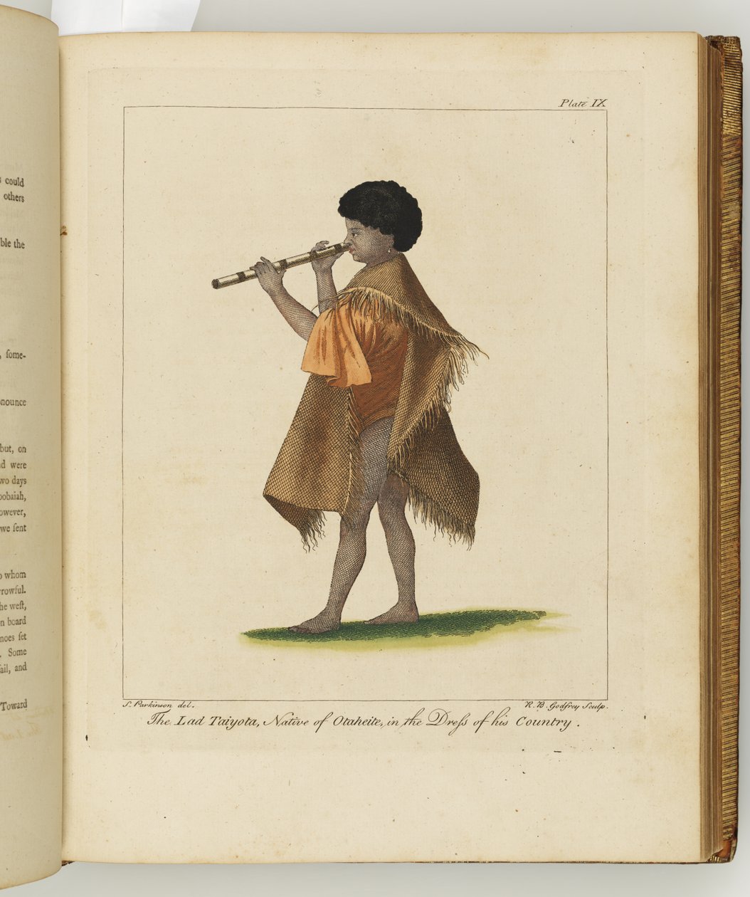 Illustration fra A journal of a voyage to the South Seas: in His Majestys ship, the Endeavour, 1794 (håndkoloreret gravering) af Sydney