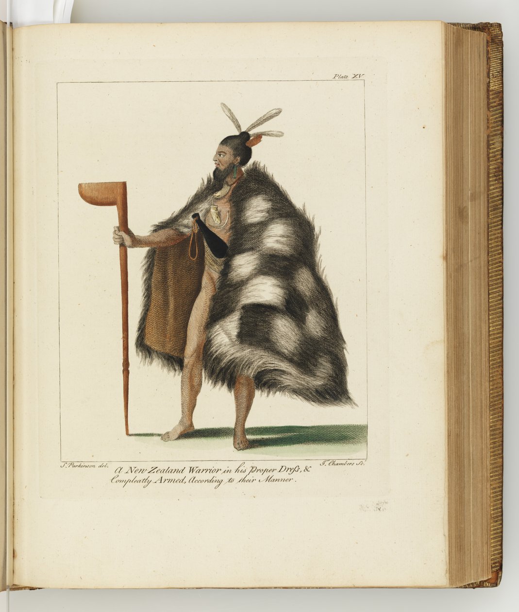 Illustration fra A journal of a voyage to the South Seas: in His Majestys ship, the Endeavour, 1794 (håndkoloreret gravering) af Sydney
