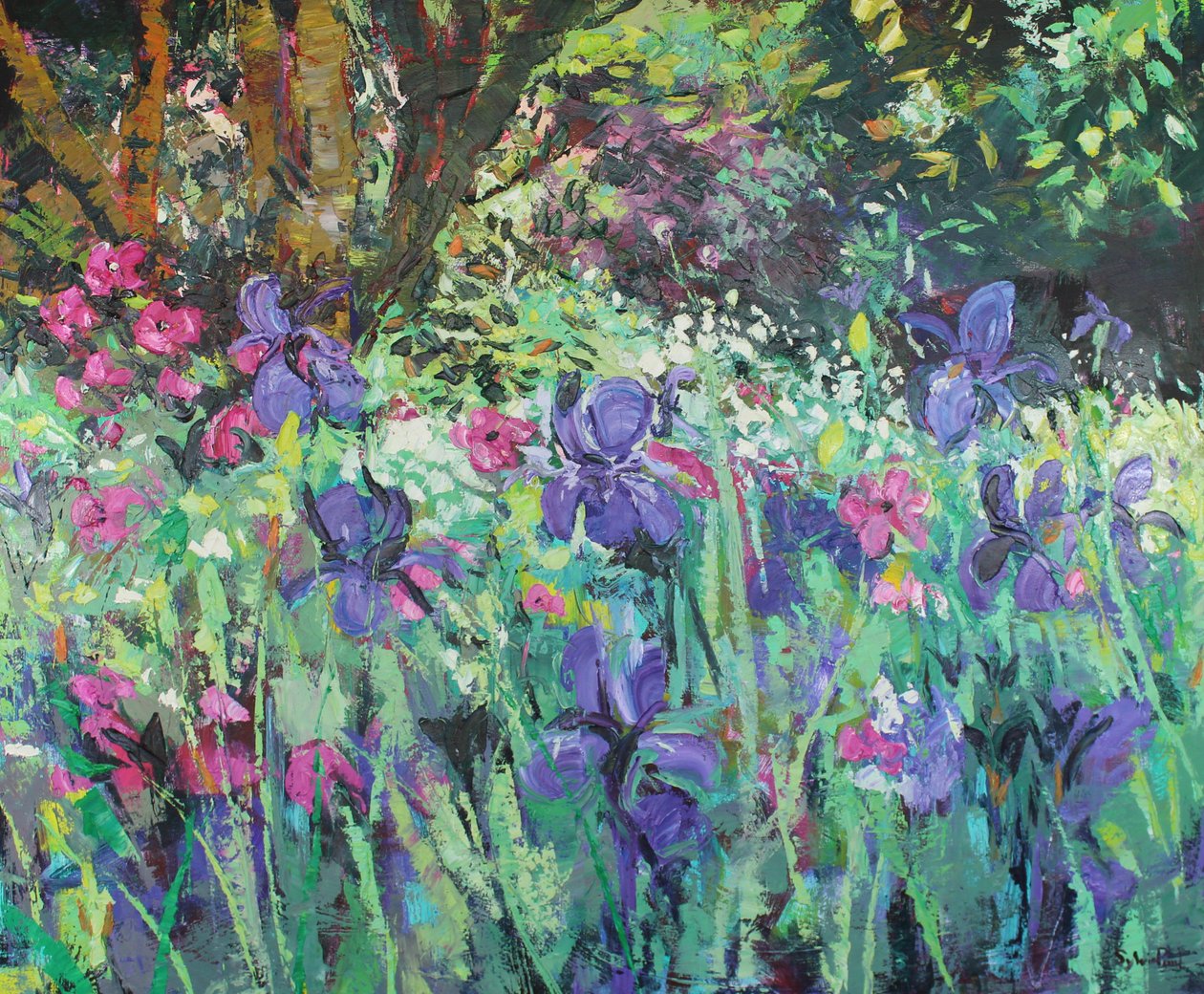 Iris have af Sylvia Paul