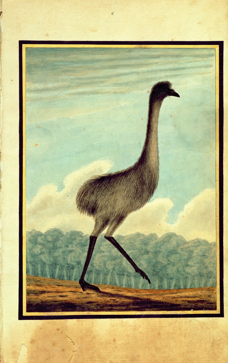 The Emue (sic), 1813 af T.R. Browne