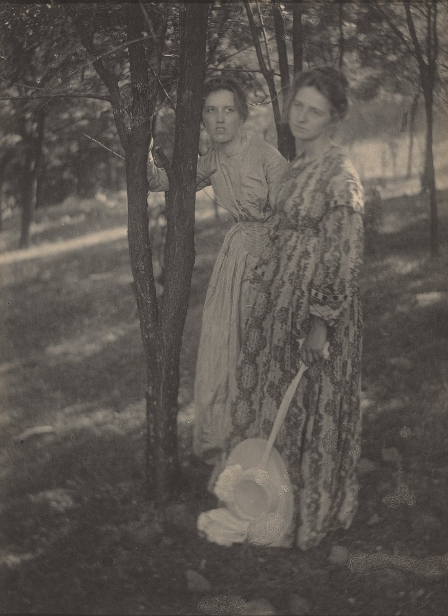 I skoven, ca. 1899 (foto) af T. M. Edmiston