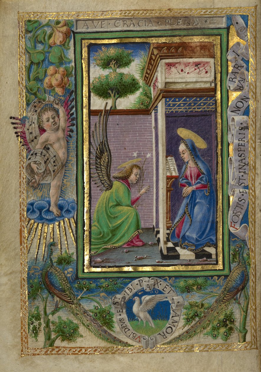 Bebudelsen af Taddeo Crivelli