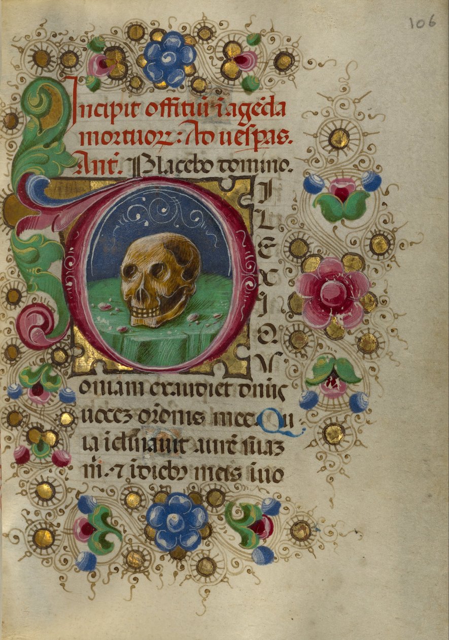 Et kranium i en stenet mark af Taddeo Crivelli