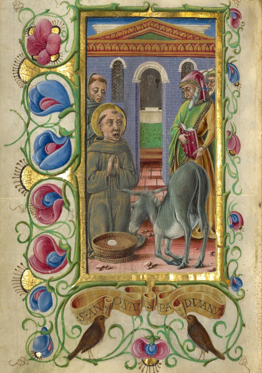 Sir Anthony af Padua af Taddeo Crivelli