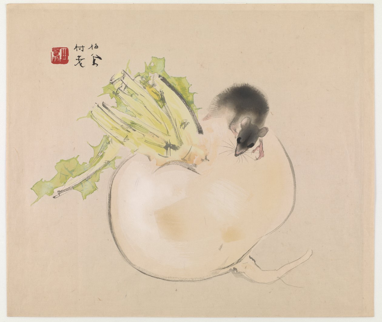 Hvid Radise (Daikon) Og Rotte (træbloktryk i farver) af Takeuchi Seiho