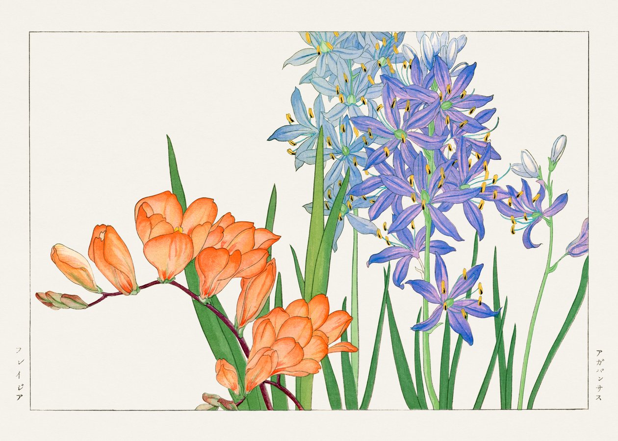 Freesia-blomst fra "Seiyou Sokazufu" af Tanigami Konan