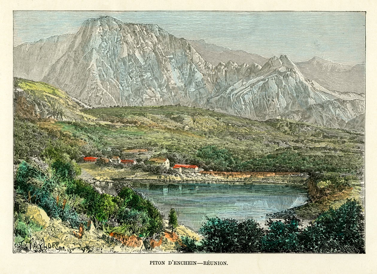 Piton d Enchein, Reunion, c1880. af Taylor